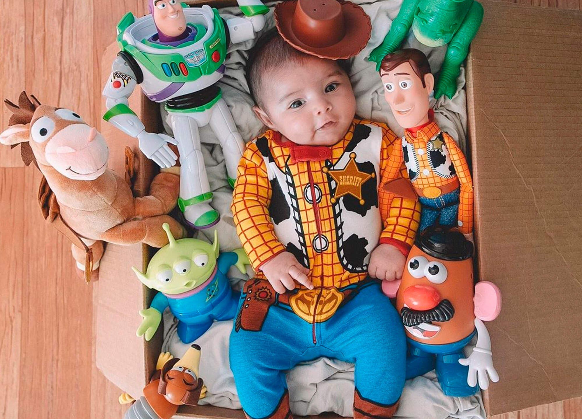 Toy Story Mesversario