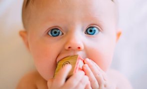 Melhores Brinquedos para Bebês