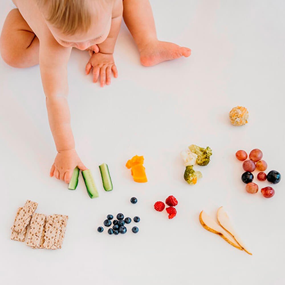 Introdução Alimentar Bebê