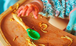 Guia Introdução Alimentar para Bebês